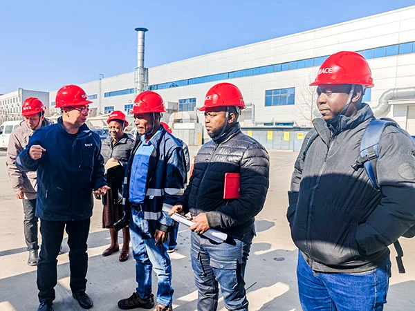 Technical exchange between Zimbabwean delegates and ACE Group regarding machinery performance